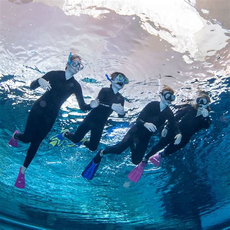 Snorkeling Experience at Deep Dive Dubai - Hellotickets