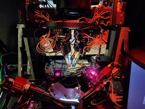 Scientists shoot lasers into brain cells to uncover how illusions work