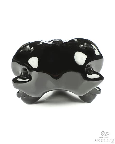Double Skull, 3.1" Black Obsidian Carved Crystal Owl Skull, Crystal ...