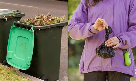 Western Australia rolls out new FOGO bin rule: 'It's so important'