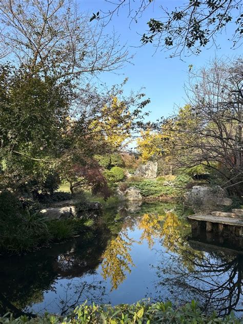 Live in the Immortal Residence from Song Poetry, the Hangzhou Version ...