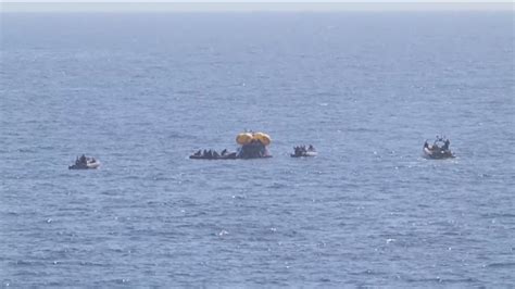 World’s oldest living horse turns 38, celebrates birthday with lifelong owner | cbs8.com