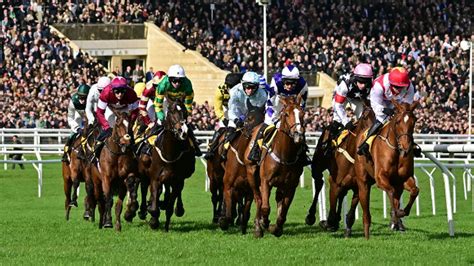 Cheltenham tips: Wednesday's best bets for EVERY race from our top ...