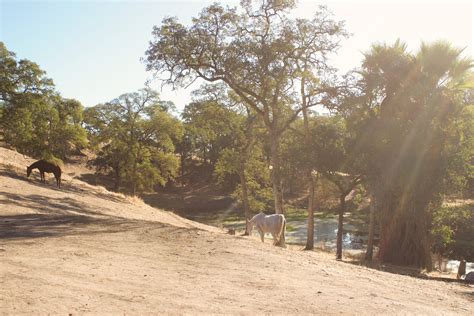 The best campgrounds in Amador County with a private bathroom