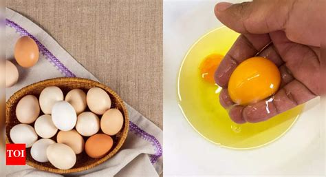 Whole Egg vs Egg White: Which has more protein and nutrition - Times of ...