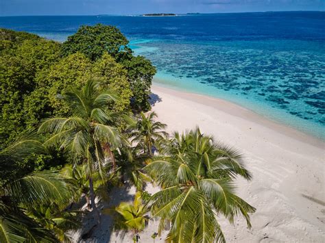 Akomadoo - Intimate beach , mesmerizing lagoon - Bungalows for Rent in ...