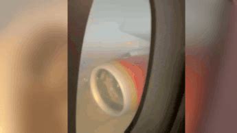 Air India Delhi-New York flight engine damaged after container sucked ...