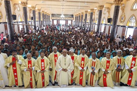 News | Catholic Connect