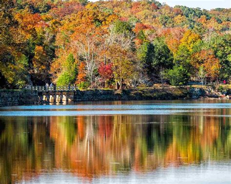 Assisted Living in Montgomery County, MD: What Families Need to Know