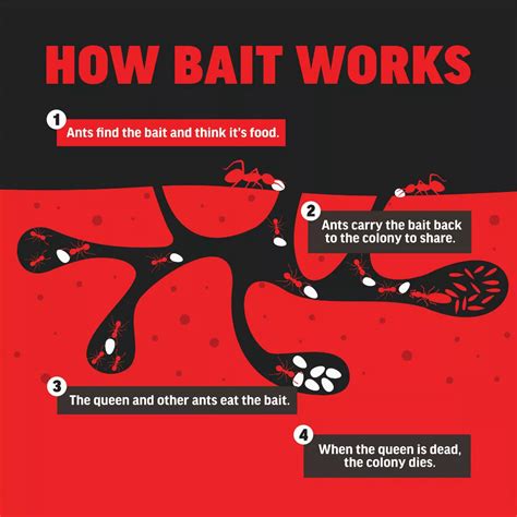 Amdro 24 Oz. Ready To Use Granules Home Perimeter Ant Killer | True ...