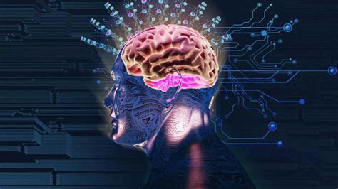 Magnesium may be the missing nutrient your brain needs to fight brain ...