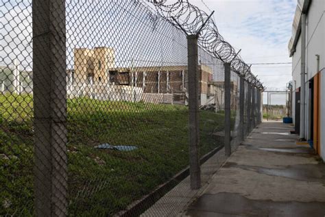 "Quedó como confuso": directora del INR dijo que si avanza reforma del ...