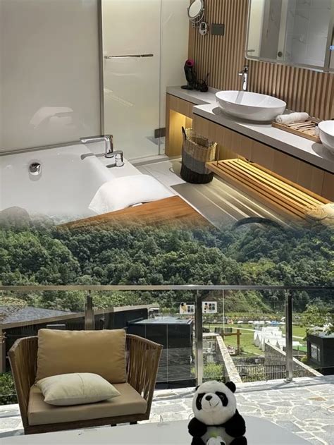 Chengdu Qingcheng Mountain Wilderness Courtyard Homestay: A Healing ...