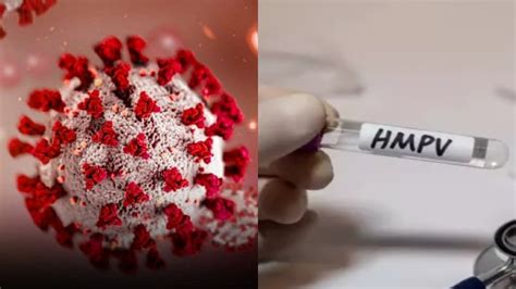 HMPV Scare: India's Count Rises To 6 As Chennai, Kolkata Report New ...