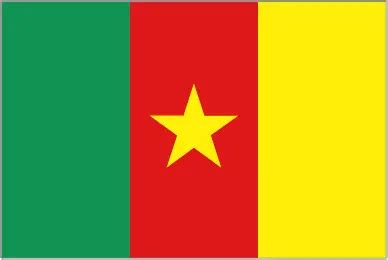 Cameroon W vs Nigeria W Friendlies Women Football Results Score 28.02.2026