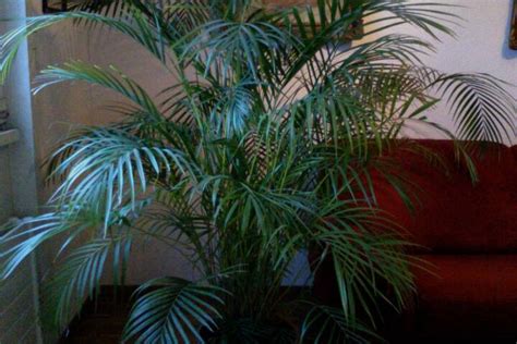 2 1/2 for rent - Flats for Rent in Le Lignon, Genève, Switzerland - Airbnb