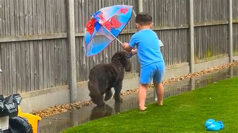 Boy holds umbrella over his dog instead of himself in the rain in England