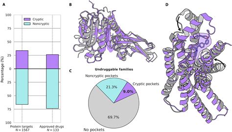 CryptoBank: A resource for the identification and prediction of cryptic sites in proteins ...