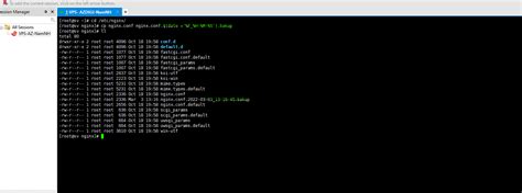 Thiết lập Nginx proxy OpenLiteSpeed - AZDIGI Blog