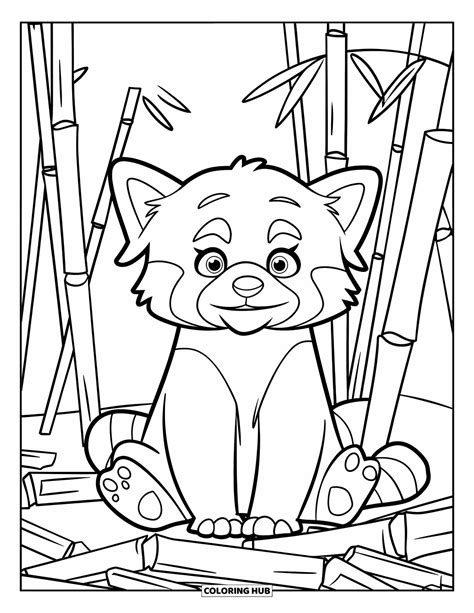 75+ Disegni di panda rossi da colorare per bambini e adulti (Gratis)