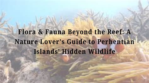 Flora & Fauna Beyond the Reef: A Nature Lover’s Guide to Perhentian Islands’ Hidden Wildlife ...