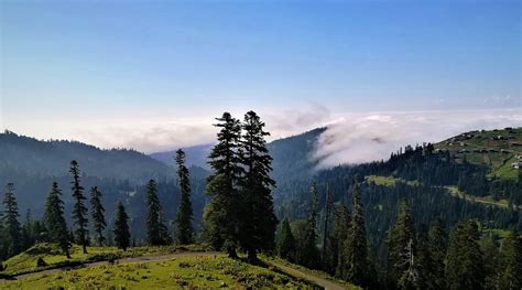 NIKO MAMASAKHLISI GUEST HOUSE (Baghdadi) - Specialty Inn Reviews ...