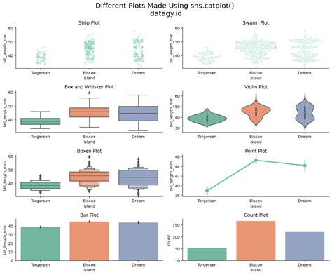 Seaborn catplot - Categorical Data Visualizations in Python • datagy ...