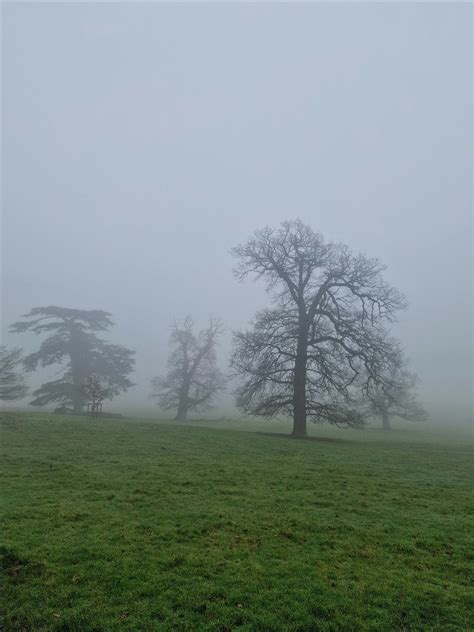 Wonder Walks Birdsong Dawn Chorus, Woodlands Edge, Peatmoor, 29 March ...