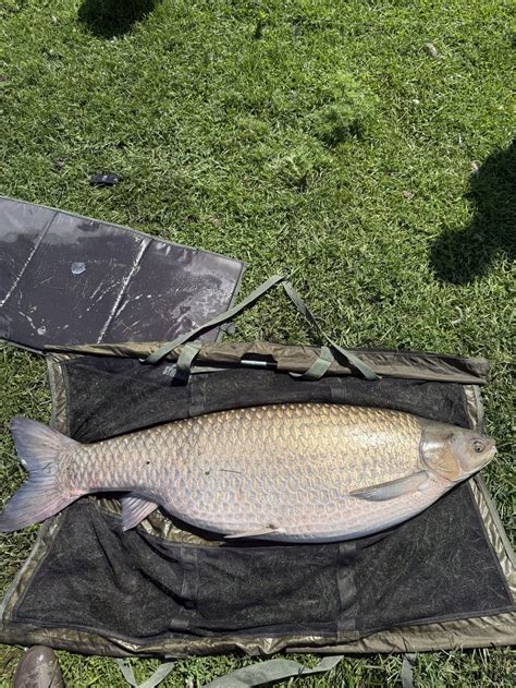 World record fish caught at Sioux City’s Bacon Creek