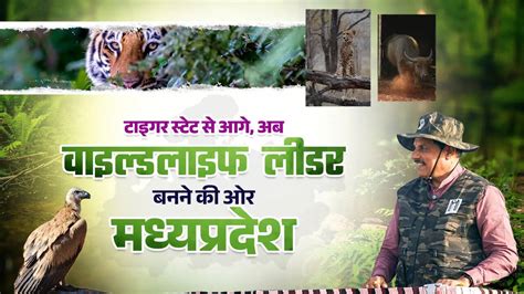 From tiger state to wildlife state: Madhya Pradesh is rewriting India's ...