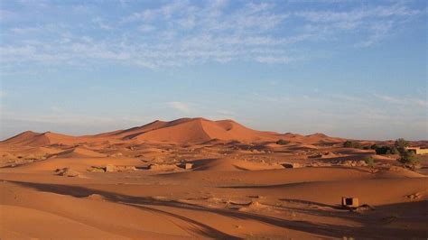 MOROCCO CAMEL RIDE (2026) All You Need to Know BEFORE You Go (with ...