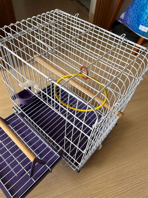 Vendo gaiola A42cm L27cm para Ring Neck ou Calopsita - Acessórios para ...