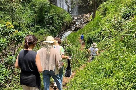 TANZANIA UNWRAPPED EXPEDITIONS (2026) All You Need to Know BEFORE You ...