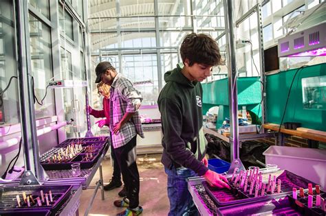 Undergraduate and Graduate Commencement Ceremonies - Manchester University