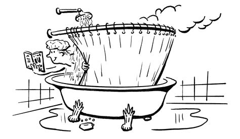 Birds of the Bible, Lisa Ann Vervaet (9798331045654) — Readings Books