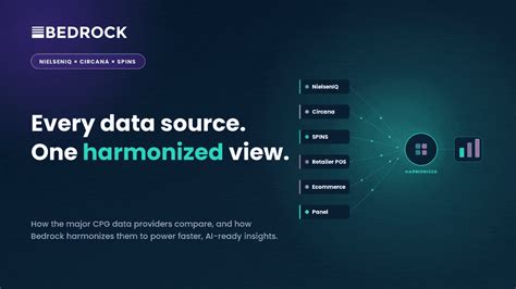Nielsen vs Circana vs SPINS: How CPG Data Providers Compare | Bedrock ...