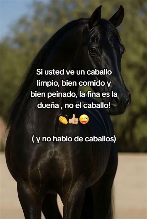 Katy (@katym211)’s video of Caballos Finos | TikTok