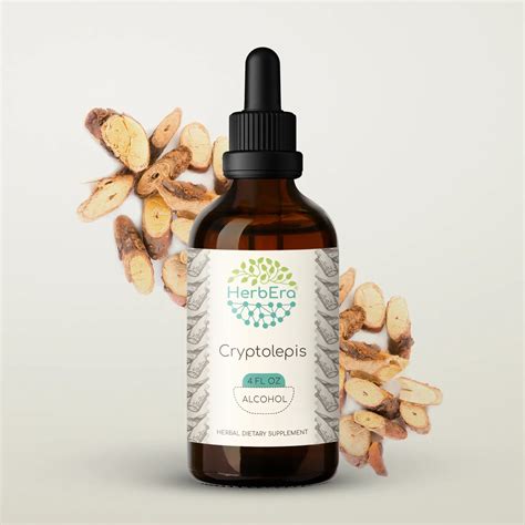 Cryptolepis Tincture – Supports Immune & Cellular Balance – HerbEra