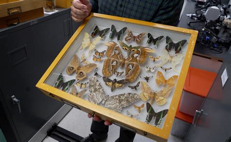 Discover the invertebrate zoology specimens — 'all the little weirdos ...