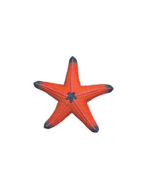 ESTRELLA DE MAR QUE CAMBIA DE COLOR