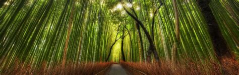 National AG Bio-tech