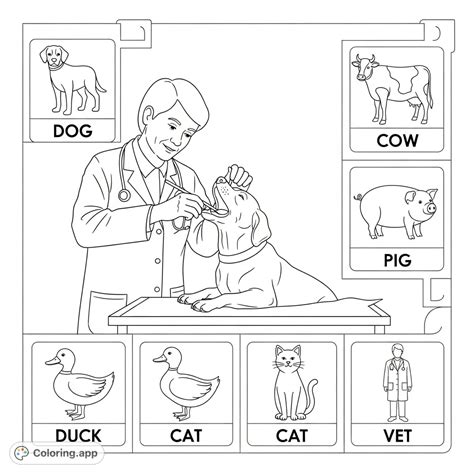 Bark George Vet Animal Squares - Coloring.app