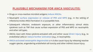 ANCA Vasculitis Management Guidelines Presentation | PDF