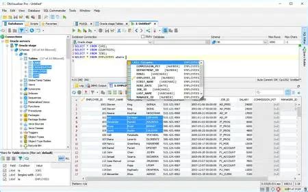 DbVisualizer Pro 25.3.2 (x64) » NULLED.org | Best files everyday