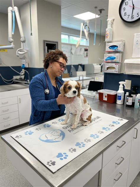 That new lump on your pet — should you be concerned?