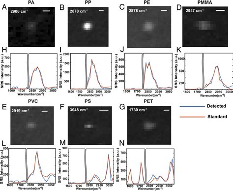 Rapid single-particle chemical imaging of nanoplastics by SRS microscopy | PNAS