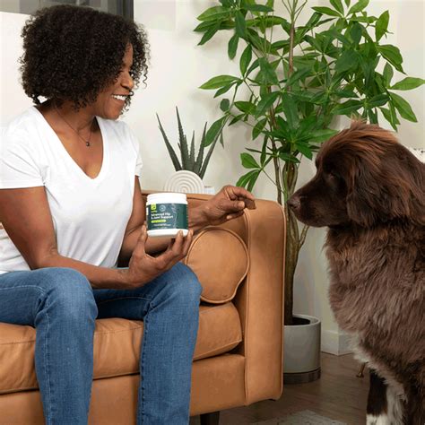 Wuffes Joint Supplements Review - Must Read This Before Buying