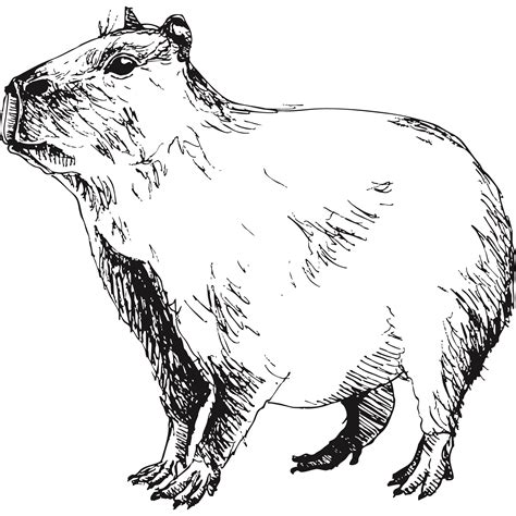 Uruguay Luxury Tours | Extraordinary Journeys