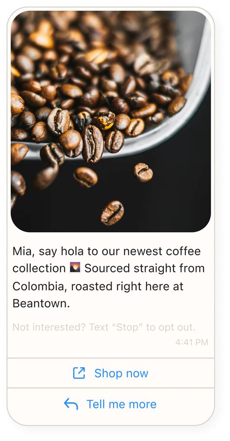 Grow your WhatsApp audience - Getting started with WhatsApp | Klaviyo ...