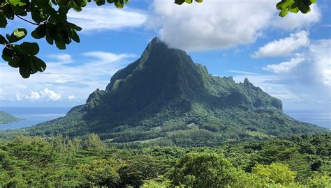BELVEDERE LOOKOUT - All You SHOULD Know Before Going 2026 (with Photos ...
